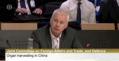 '图6：委员会成员、新芬党外交事务发言人塞恩·克劳（Sean Crowe）议员'