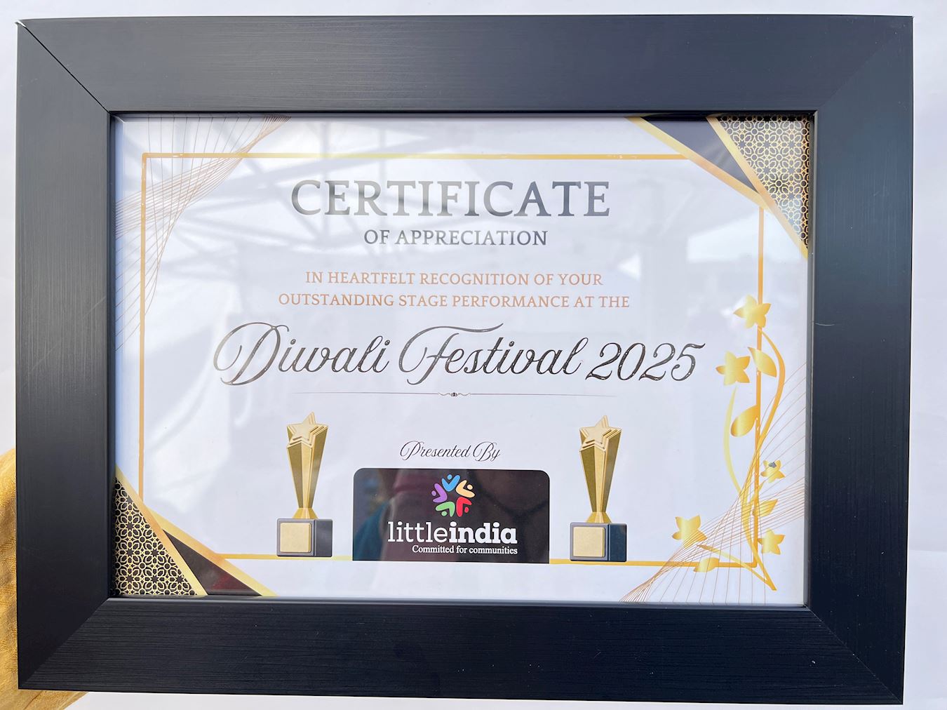 '图5~6:法轮功学员获得了主办方的感谢证书。'