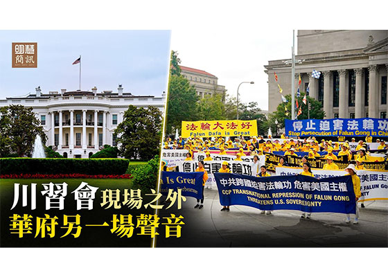 视频:川习会现场之外 华府另一场声音